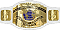 *WWE IC Champion*